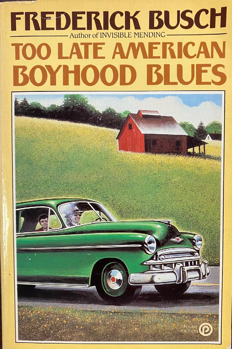 Image for Too Late American Boyhood Blues
