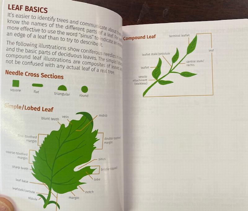 Trees of Ohio Field Guide (Tree Identification Guides)