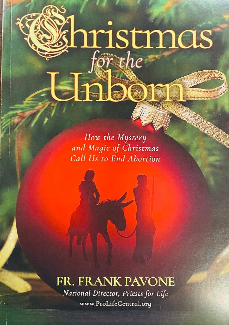 Image for Chrismas for the Unborn: How the Mystery and Magic of Christmas Call Us to End Abortion