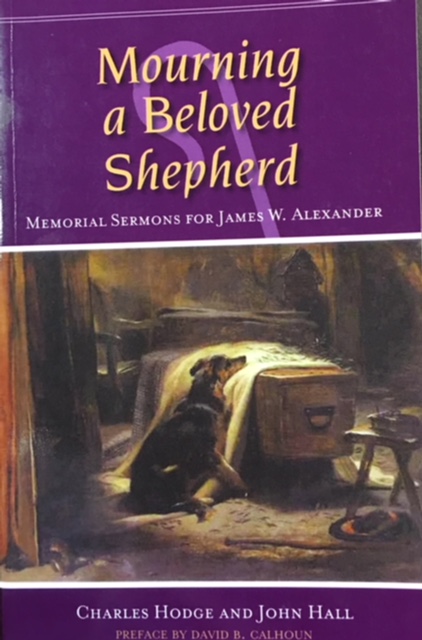 Image for Mourning a Beloved Shepherd
