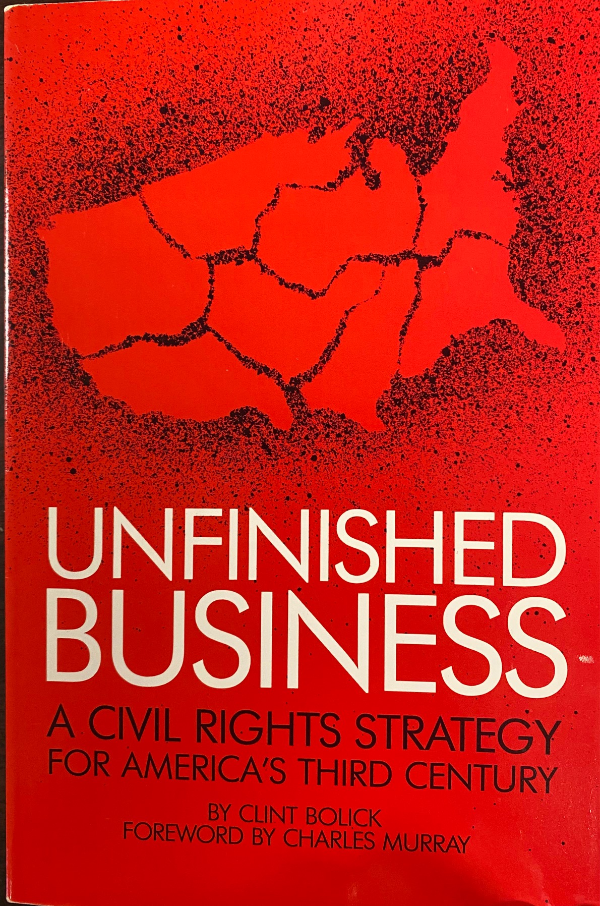 Image for Unfinished Business: A Civil Rights Strategy for America's Third Century