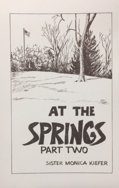 Image for DOMINICAN SISTERS: ST. MARY OF THE SPRINGS - A HISTORY (Histiorette Four, Part Two, 1868-1903) At The Springs