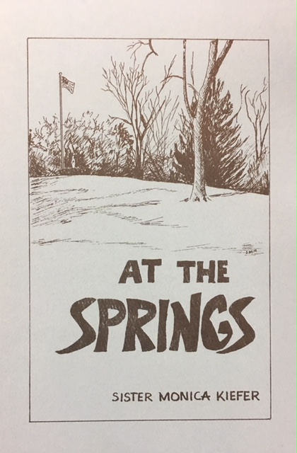 Image for DOMINICAN SISTERS: ST. MARY OF THE SPRINGS - A HISTORY (Histiorette Four, Part One, 1868-1903) At The Springs