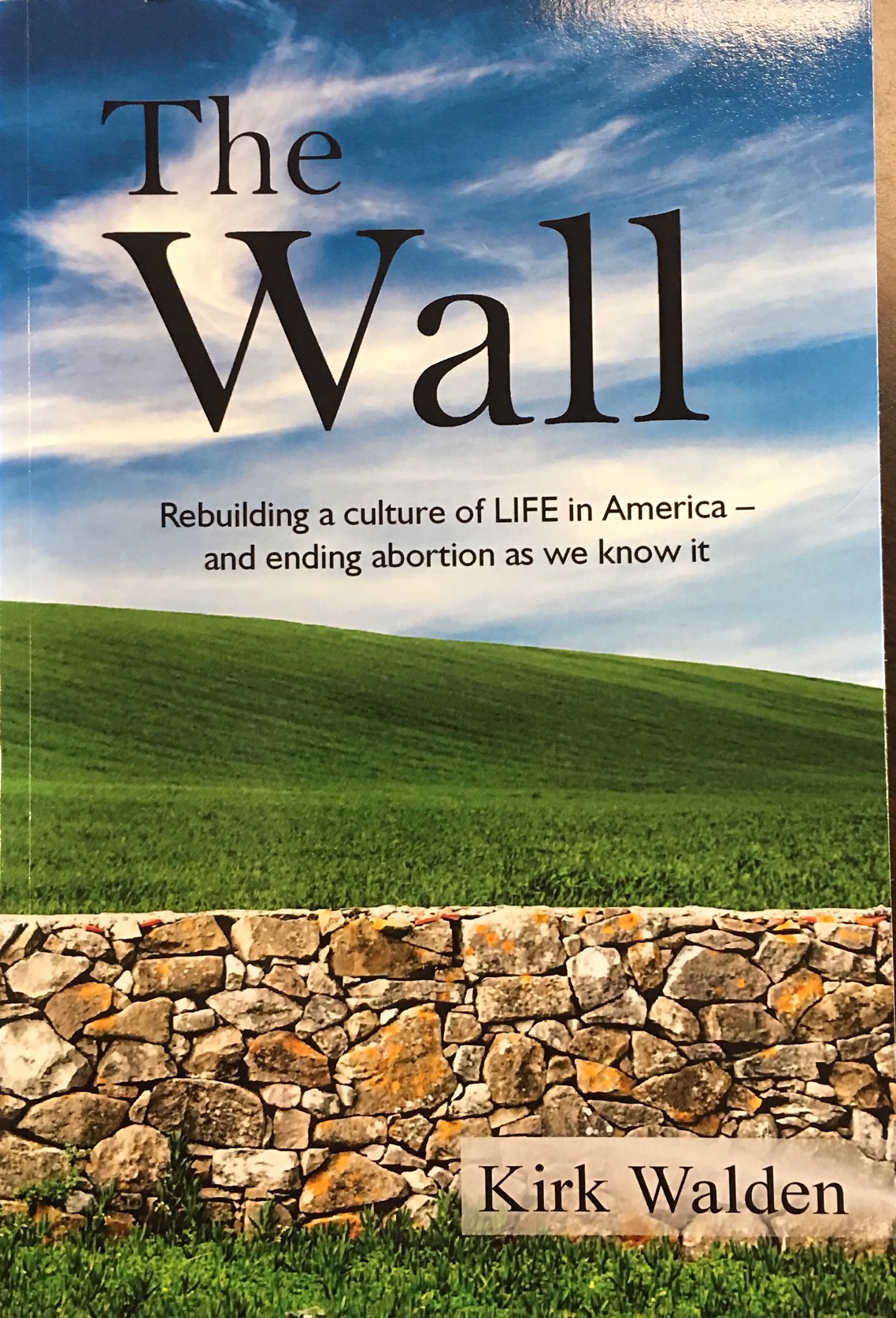 Image for The Wall: Rebuilding a culture of life in America and ending abortion as we know it