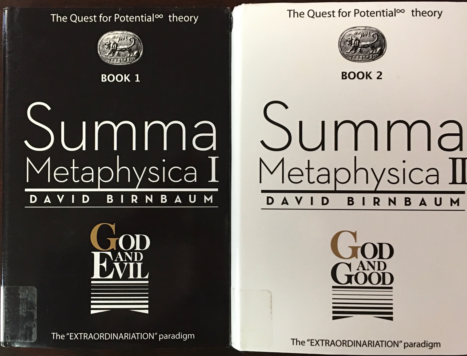 Image for Summa Metaphysica: The 'Extraordinariation' Paradigm - 2 Volume Set (Vol. I: GOD and EVIL / Vol. II: GOD and GOOD)