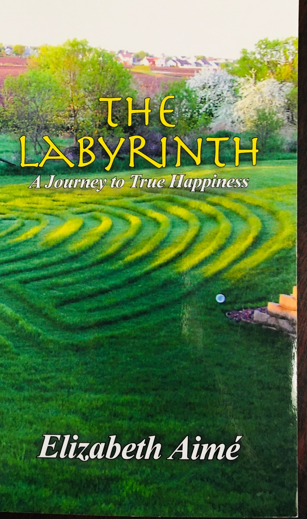 Image for The Labyrinth: A Journey to True Happiness