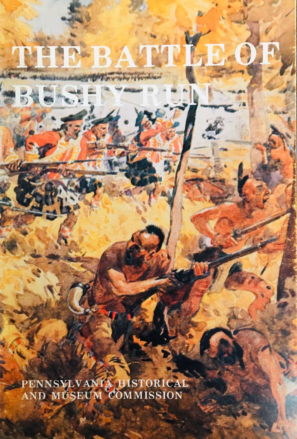 Image for The Battle of Bushy Run by Niles Anderson (2000-04-30)