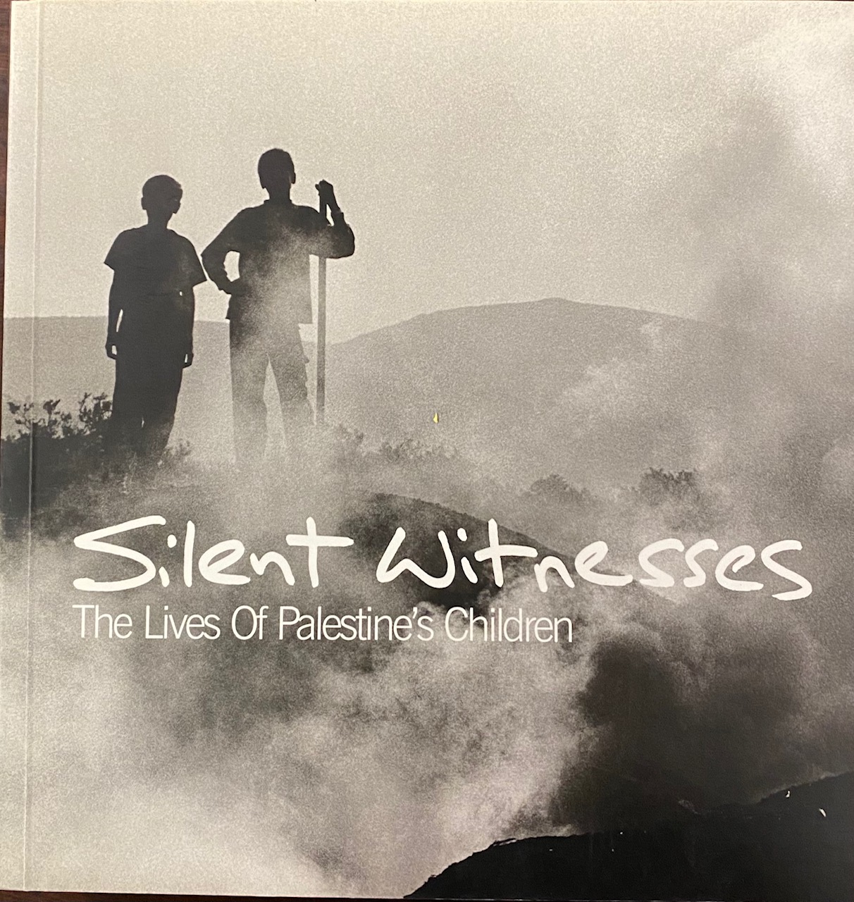 Image for Silent Witnesses: The Lives of Palestine's Children