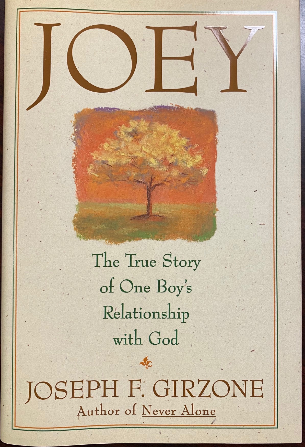 Image for Joey: The True Story of One Boy's Relationship With God