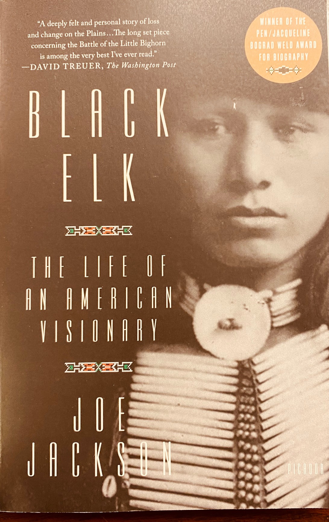 Image for Black Elk: The Life of an American Visionary