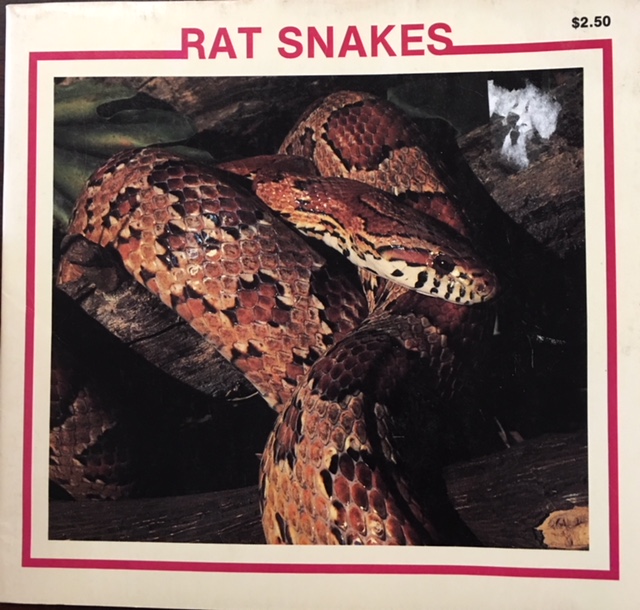 Image for Rat Snakes (The Snake Discovery Library)